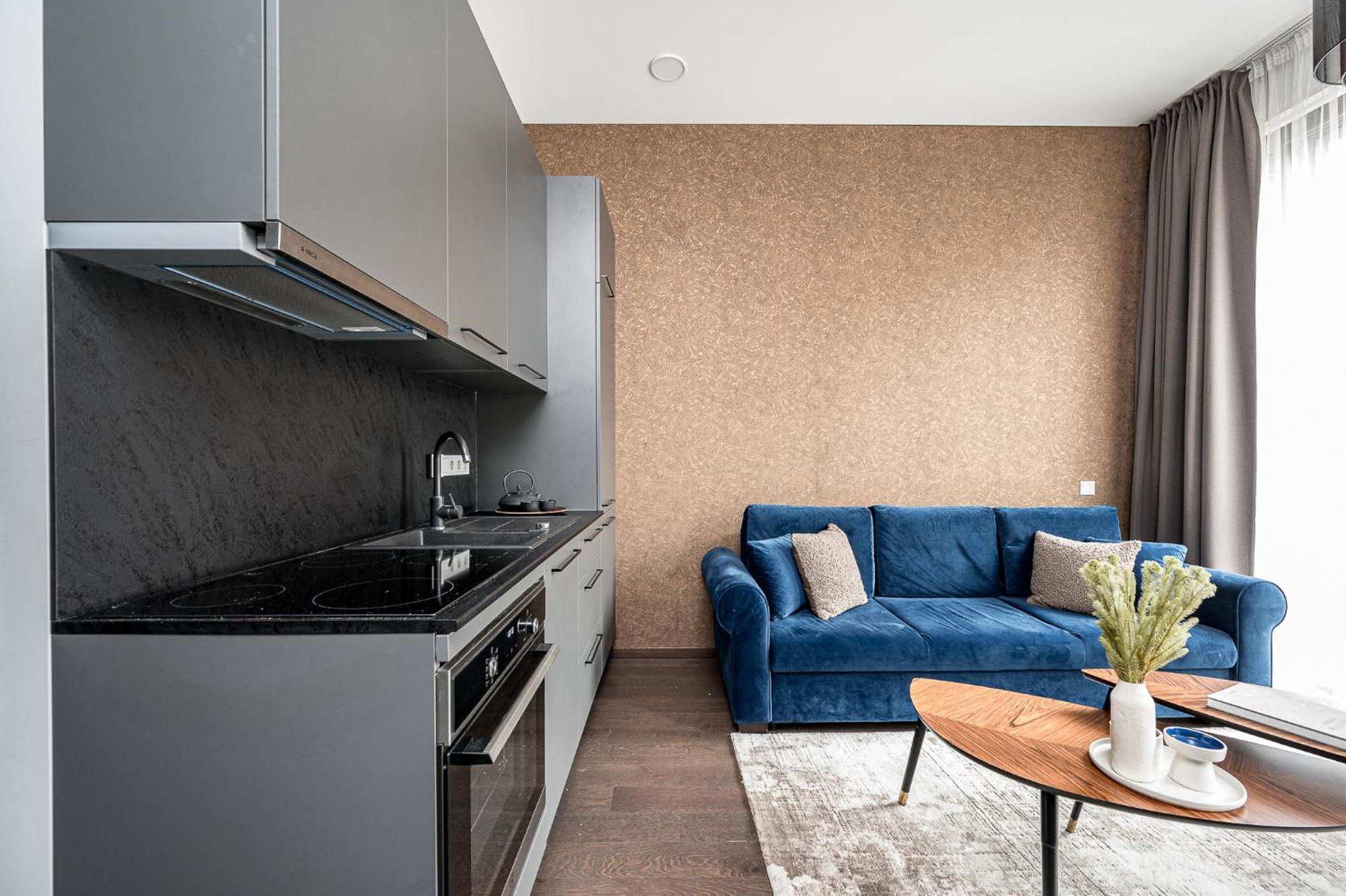 Vilnius Old Town Studio Renessaince 5 מראה חיצוני תמונה